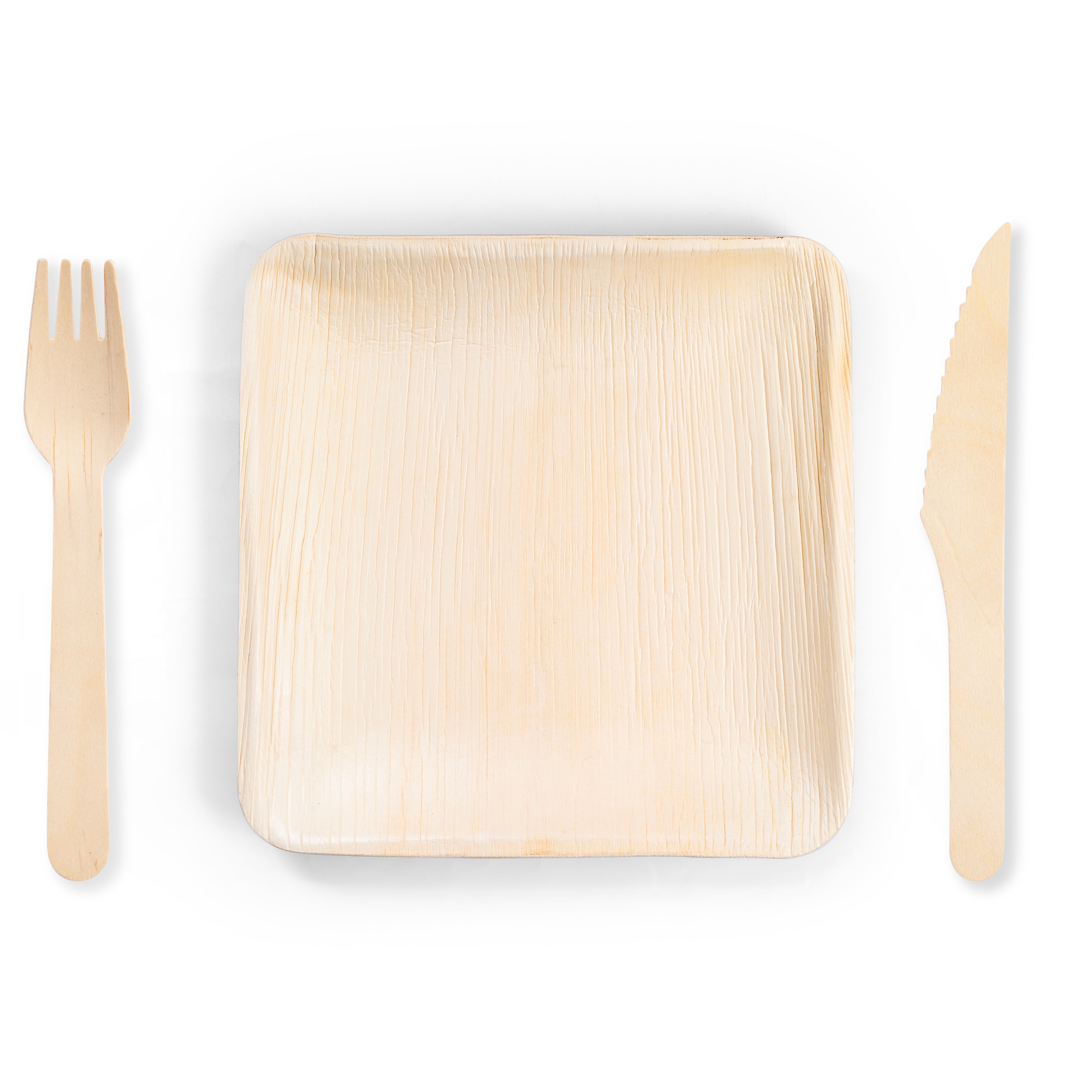 LuxeDesigns Disposable 10 Inch Palm Leaf Plate